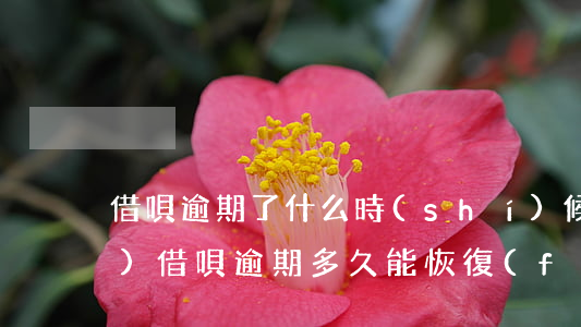 借唄逾期了什么時(shí)候恢復(fù)(借唄逾期多久能恢復(fù)正常)