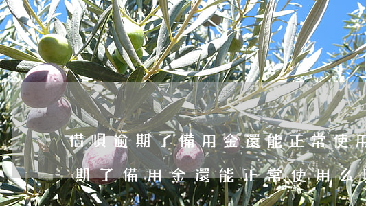 借唄逾期了備用金還能正常使用么-借唄逾期了備用金還能正常使用么嗎