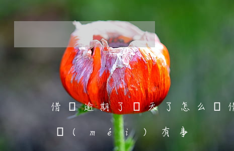 借唄逾期了兩天了怎么辦(借唄逾期兩三天有沒(méi)有事?)