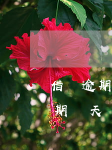 借唄逾期了兩天還上了有什么后果-借唄逾期兩天還進去還能用嗎?