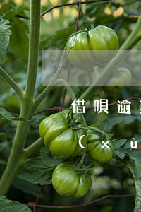借唄逾期了其他網(wǎng)貸還能繼續(xù)用嗎-借唄逾期了其他網(wǎng)貸還能繼續(xù)用嗎安全嗎