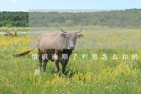 借唄逾期了利息怎么扣的(借唄逾期利息和罰息)