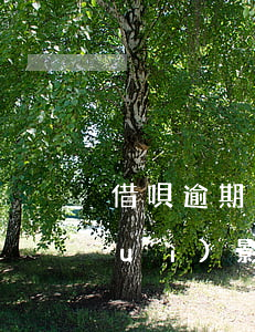 借唄逾期了半年影響買房(借唄未逾期會(huì)影響買房貸款么)