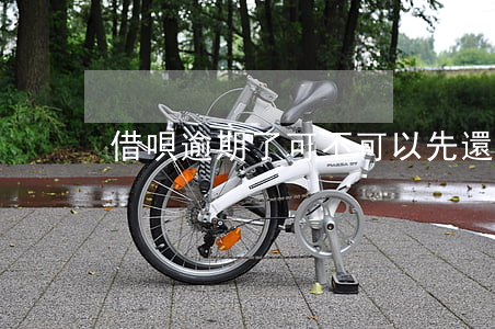 借唄逾期了可不可以先還一部分-