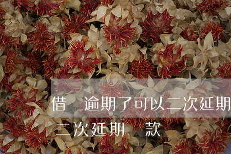 借唄逾期了可以二次延期-借唄逾期了可以二次延期還款嗎