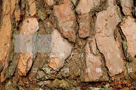 借唄逾期了可以協(xié)商二次分期還款嗎-借唄逾期了可以協(xié)商二次分期還款嗎
