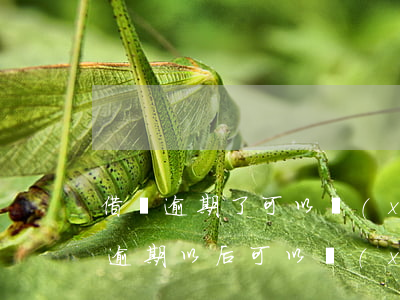 借唄逾期了可以協(xié)商還款嘛(借唄逾期以后可以協(xié)商還款嗎)