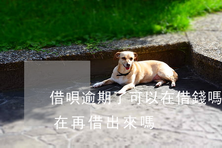 借唄逾期了可以在借錢嗎(借唄逾期了還可以在再借出來嗎?)