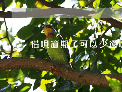 借唄逾期了可以少還嗎(借唄逾期還能借款嗎)