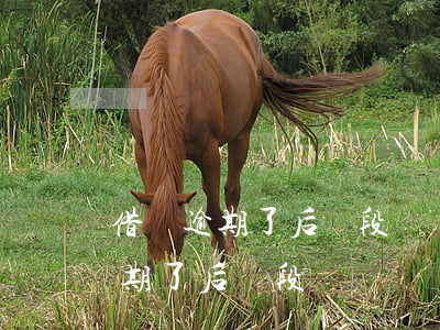 借唄逾期了后過段時間還會怎么樣-借唄逾期了后過段時間還會怎么樣嗎