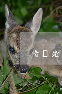 借唄逾期了四天（借唄欠二塊多逾期4天）