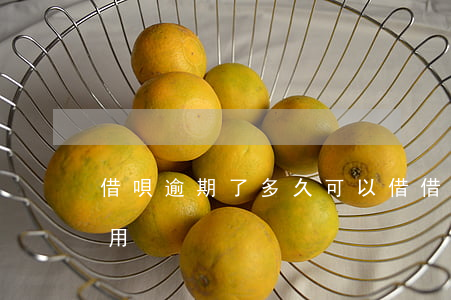 借唄逾期了多久可以借(借唄逾期多久可以使用)
