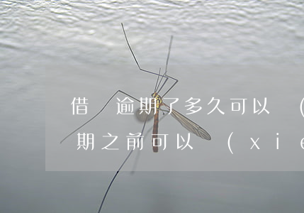 借唄逾期了多久可以協(xié)商(借唄逾期之前可以協(xié)商分期嗎)