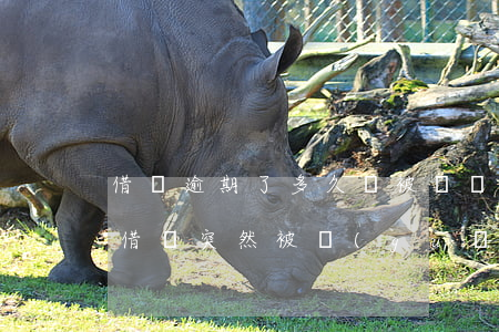 借唄逾期了多久會被凍結(jié)(沒逾期借唄突然被關(guān)閉)