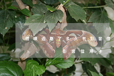 借唄逾期了多久有影響（借唄逾期了多久會(huì)影響信用卡）