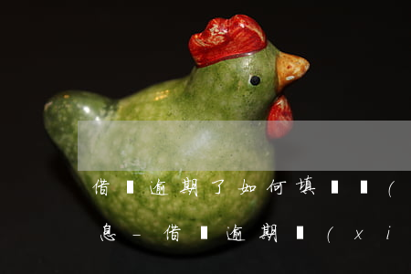 借唄逾期了如何填寫協(xié)商反饋信息-借唄逾期協(xié)商還款怎么寫