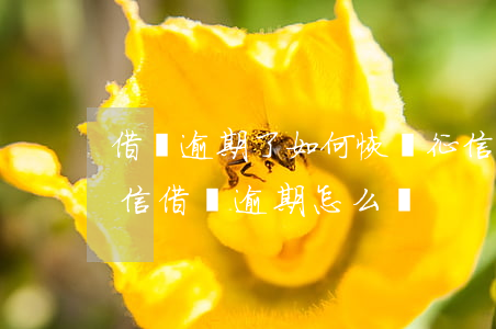 借唄逾期了如何恢復征信(借唄逾期多久上征信?借唄逾期怎么辦)
