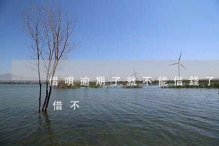 借唄逾期了就不能借錢了嘛(借唄逾期了還能借不)