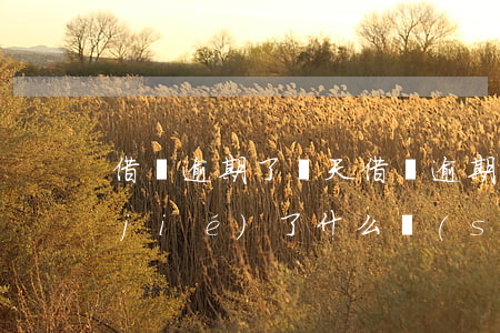 借唄逾期了幾天(借唄逾期了幾天花唄凍結(jié)了什么時(shí)候能解凍)