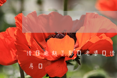 借唄逾期了影響老婆嗎(借唄逾期影響貸款買房嗎)