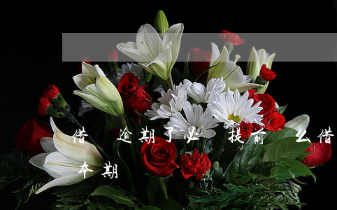 借唄逾期了必須提前還么(借唄能不能提前還本期)
