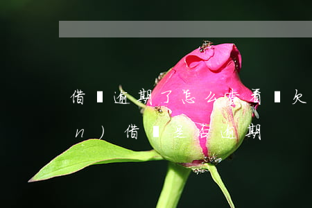 借唄逾期了怎么查看總欠款(如何查詢(xún)借唄是否逾期)