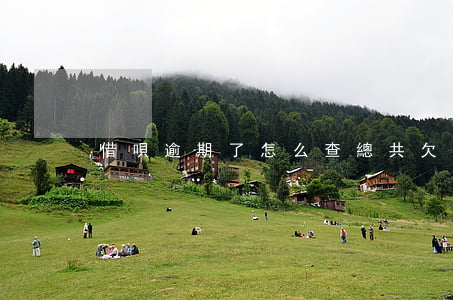 借唄逾期了怎么查總共欠款