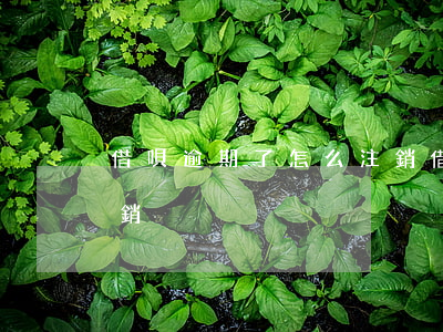 借唄逾期了怎么注銷(借唄逾期,直接支付寶注銷)