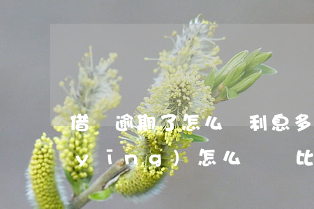 借唄逾期了怎么辦利息多少(借唄逾期后應(yīng)怎么樣還比較少利息)