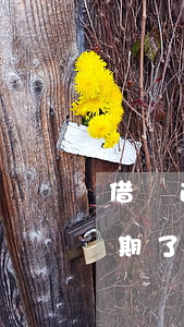 借唄逾期了怎么辦會造成什么后果-借唄逾期了怎么辦會造成什么后果呢