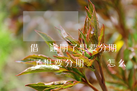 借唄逾期了想要分期還該怎么辦-借唄逾期了想要分期還該怎么辦呢