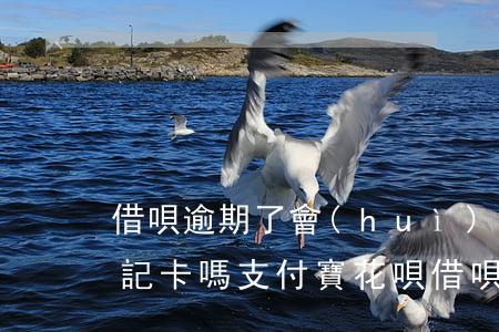 借唄逾期了會(huì)凍結(jié)借記卡嗎(支付寶花唄借唄逾期了會(huì)凍結(jié)銀行卡嗎)