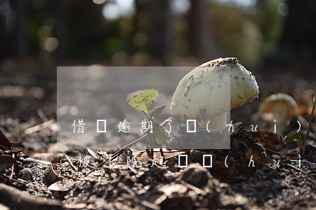 借唄逾期了會(huì)被起訴么(借唄逾期被法院起訴會(huì)怎么樣)
