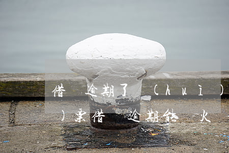借唄逾期了會(huì)買不了飛機(jī)票(借唄逾期能買火車票嗎)