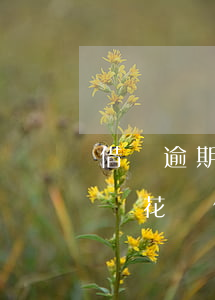 借唄逾期了會凍結(jié)借記卡嗎(支付寶花唄借唄逾期了會凍結(jié)銀行卡嗎)