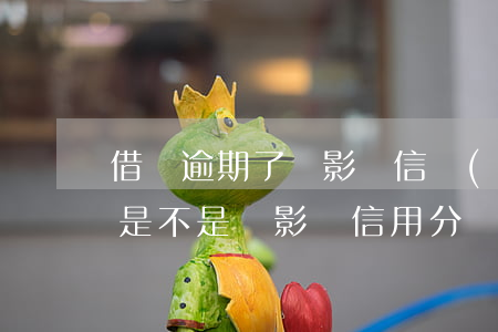 借唄逾期了會影響信譽(yù)分嗎(用借唄是不是會影響信用分)