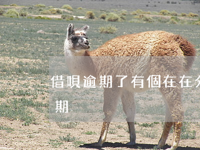 借唄逾期了有個在在分期(借唄突然出來在分期)
