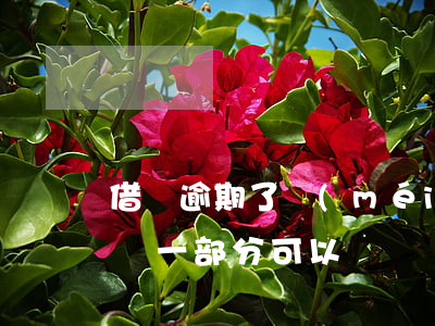 借唄逾期了沒(méi)錢(qián)先還一部分可以嗎
