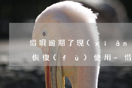 借唄逾期了,現(xiàn)在還了,多久可以恢復(fù)使用-借唄逾期了,現(xiàn)在還了,多久可以恢復(fù)使用額度