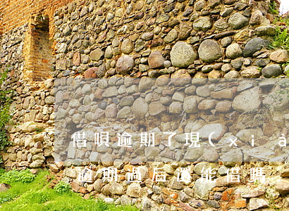 借唄逾期了現(xiàn)在還用還么(借唄逾期過后還能借嗎)