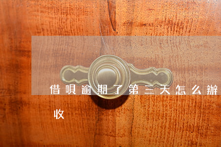 借唄逾期了第三天怎么辦(借唄逾期三天就催收)
