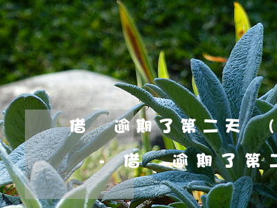 借唄逾期了第二天會(huì)扣卡上的錢嗎-借唄逾期了第二天會(huì)扣卡上的錢嗎怎么辦