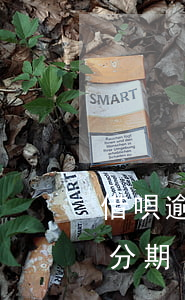 借唄逾期了能分期還款么（借唄逾期多久可以分期）