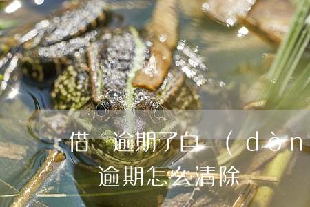 借唄逾期了自動(dòng)扣如何找回(借唄逾期怎么清除)