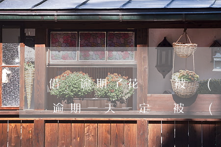 借唄逾期了花唄會被關(guān)閉(借唄逾期一天一定會被關(guān)閉嗎)