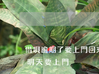 借唄逾期了要上門回來嗎(借唄逾期打電話說明天要上門)