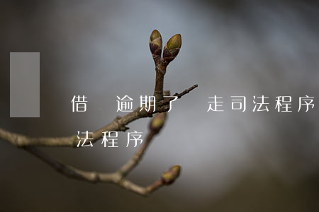 借唄逾期了說走司法程序(借唄逾期多久走司法程序)