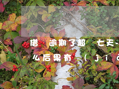 借唄逾期了超過七天-借唄逾期七天會有什么后果?,有獎(jiǎng)問答