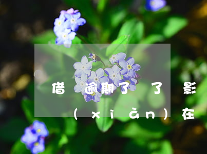 借唄逾期了還了會影響什么(借唄逾期了幾天,現(xiàn)在還了,會影響使用嗎)
