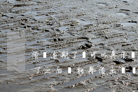 借唄逾期了還可以再借嗎(借唄逾期一天了,還了之后還能再借出來嗎)